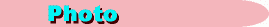 photo_logo.jpg (2162 bytes)